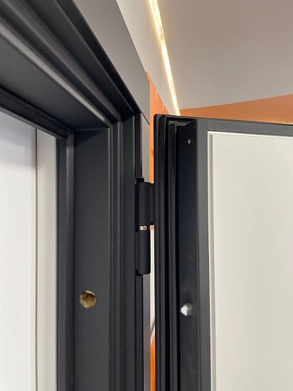 Входная дверь  