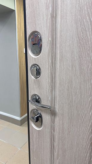 Входная дверь  